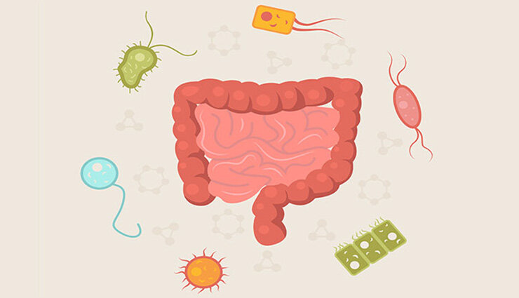 معرفی ۶ ماده غذایی که سلامت روده را تهدید می‌کند