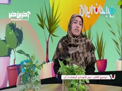 news1