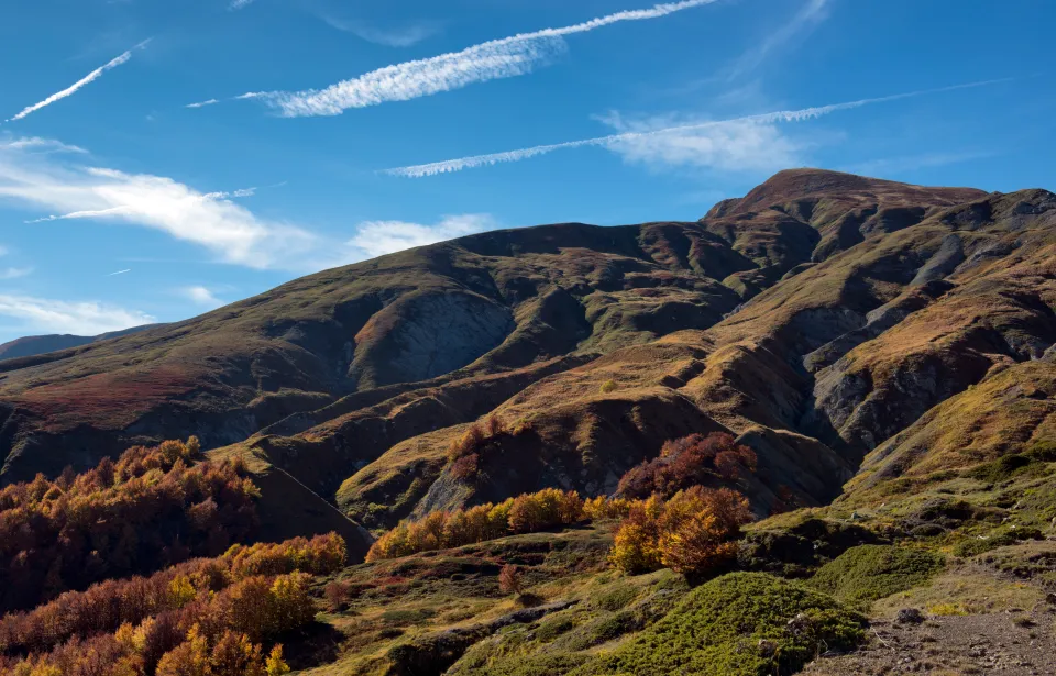 تولد یک نوزاد در «بی فرزندترین روستای جهان»