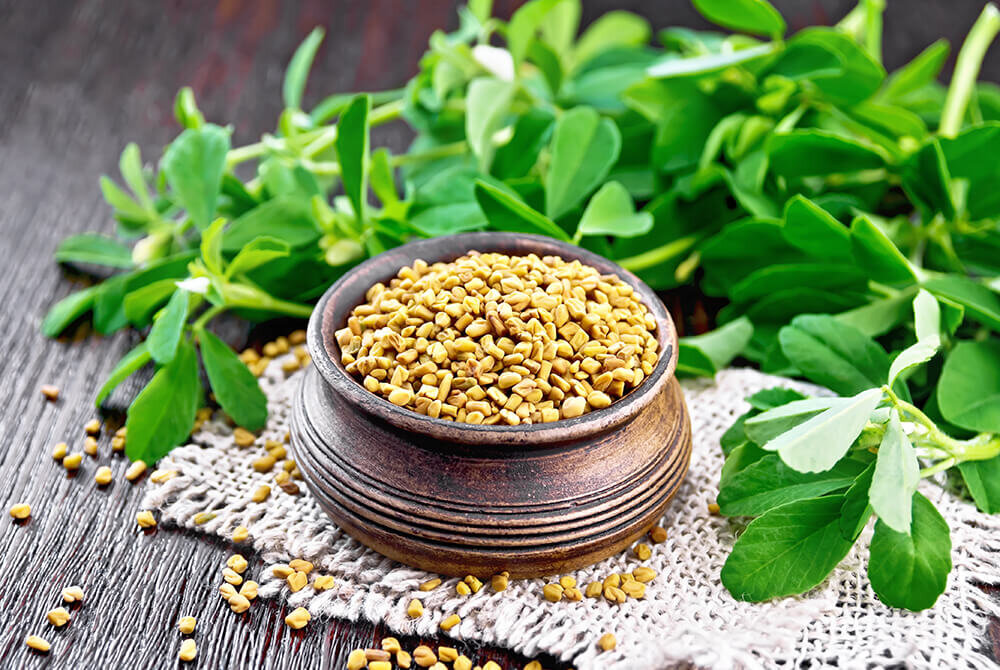 معرفی ۷ مدل سبزه برای سفره هفتسین