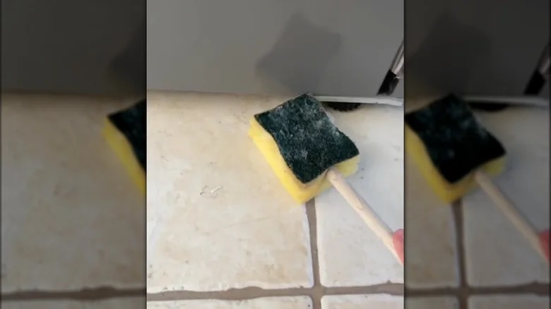 با این 13 ترفند خلاقانه با اسفنج قدیمی معجزه کن