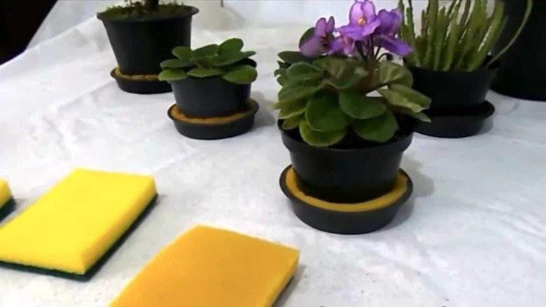 با این 13 ترفند خلاقانه با اسفنج قدیمی معجزه کن