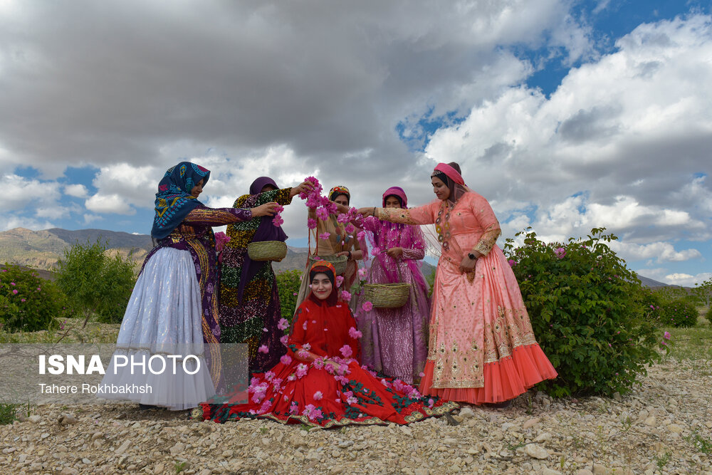 تصاویر شاد و پربازدید از چند دختر در فارس