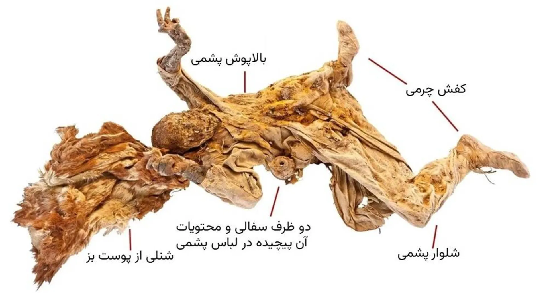 مومیایی مرد نمکی شماره ۴