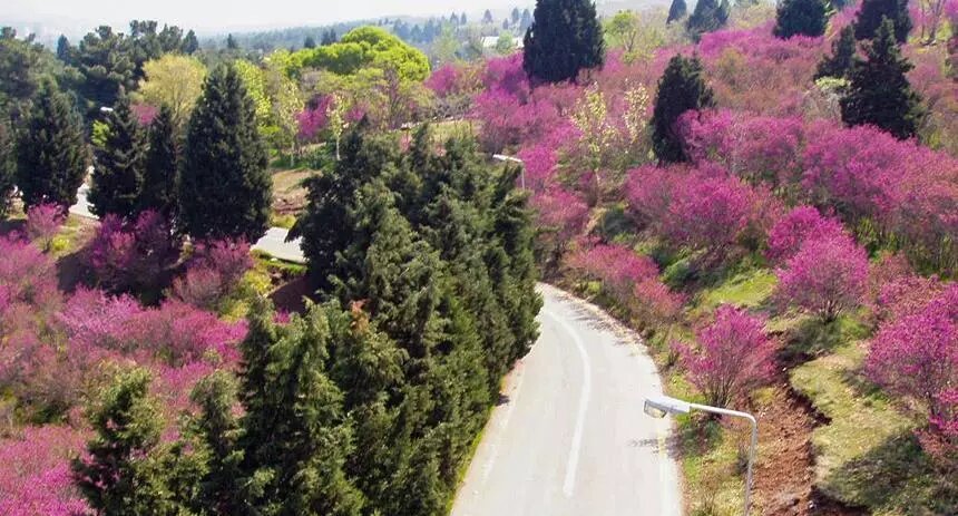 سفر یک‌روزه اطراف تهران کجا برویم؟/ ۶ مقصد رویایی در فصل پاییز