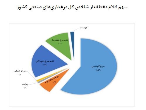 تورم تولیدات مرغداری‌ها کم شد