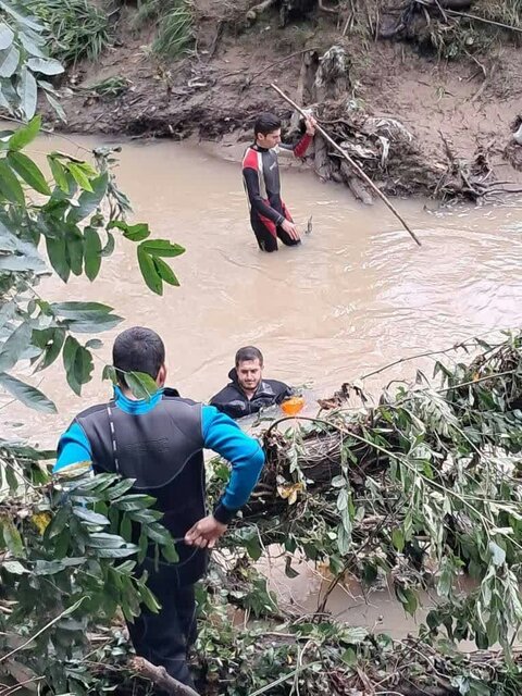 سقوط تاکسی در رودخانه/ جستجو برای یافتن راننده ادامه دارد