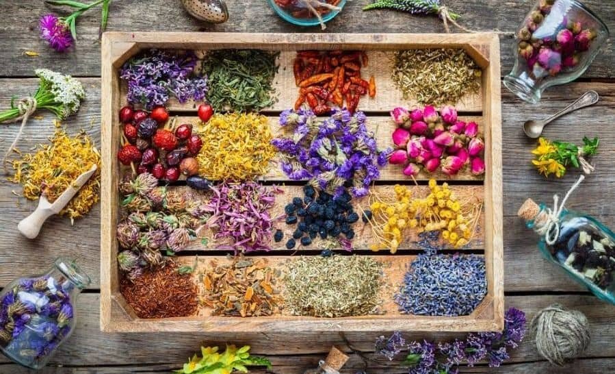 چگونه با طب سنتی لاغر شویم +روشهای پاکسازی بدن