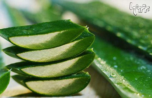 خشکی پوست و درمان آن با روشهای خانگی خشکی پوست و درمان آن با روشهای خانگی