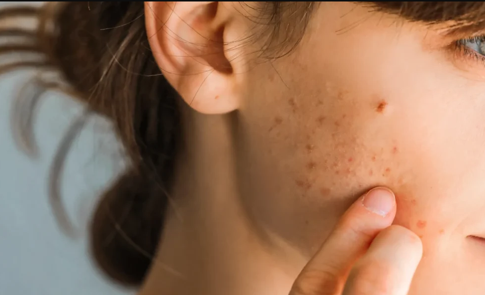 Screenshot 2024-10-15 070028