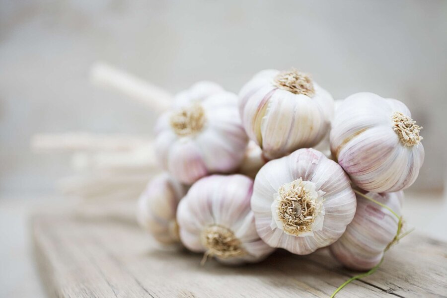 garlic - سیر - sir