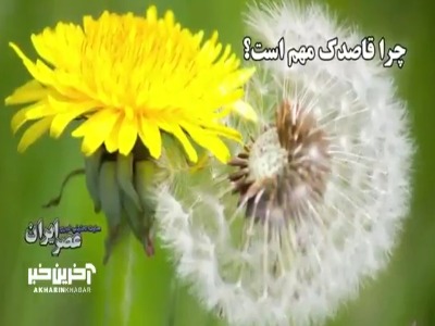 news1