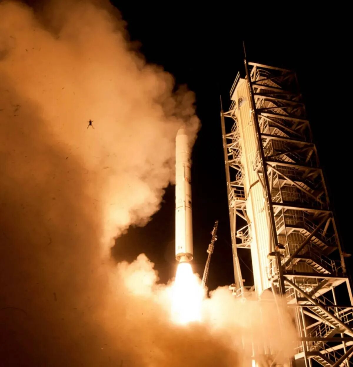 عکس | بدشانس‌ترین قورباغه جهان که همراه موشک پرتاب شد