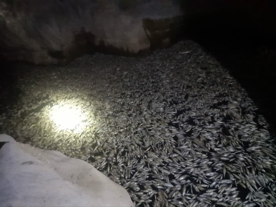 خشکسالی در پلدختر می‌تازد/ آب از سر «کشکان» گذشت!