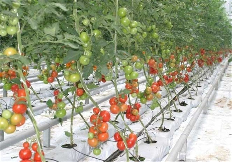 استان سیستان و بلوچستان , 