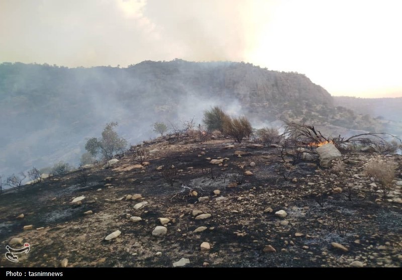 آتش سوزی جنگل ها و مراتع , 