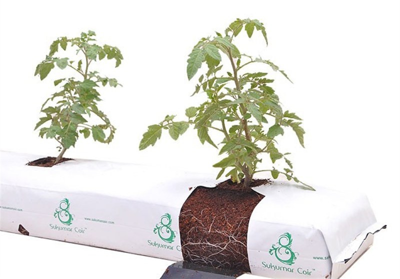 استان سیستان و بلوچستان , 