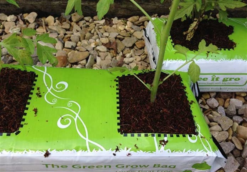 استان سیستان و بلوچستان , 