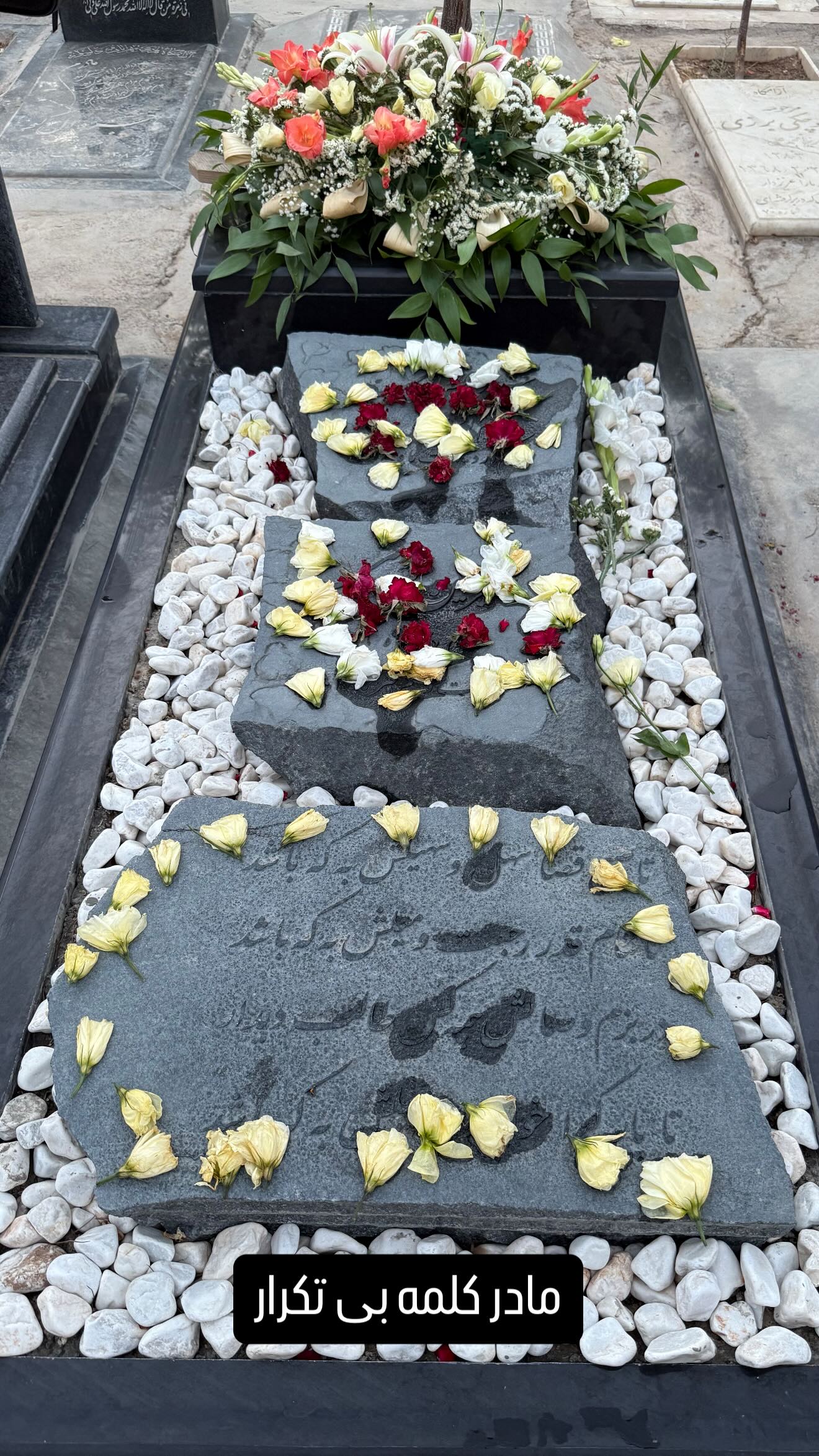 photo_2025-07-19_19-14-46