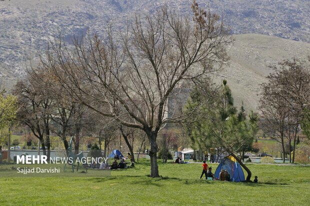 پای فضای سبز از آب شرب خرمآباد قطع میشود؟