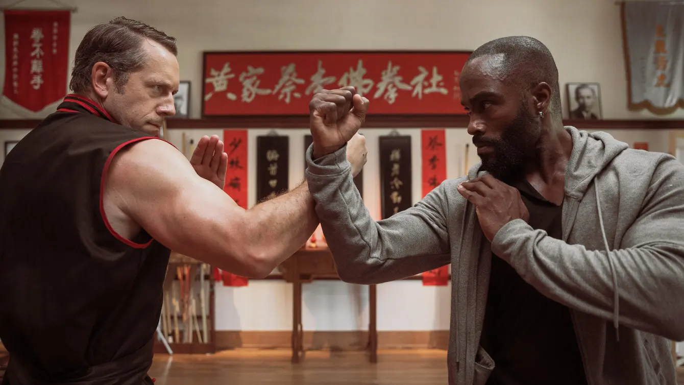 Modern-martial-arts-movie-11