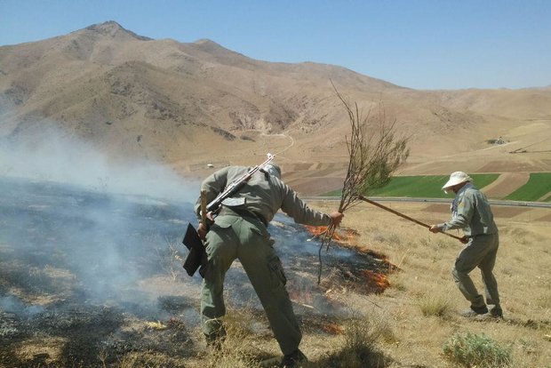 مردان بی‌ادعای زاگرس؛ روایتی از جان‌فشانی در سایه کمبودها!