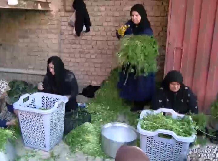 بانویی که مزرعه را کارخانه کرد!